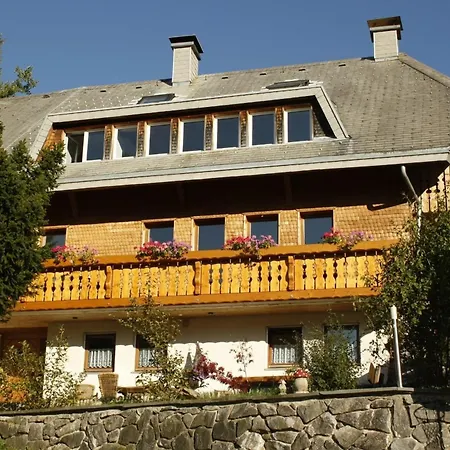 Apartment Buehlhof Gaestehaus Nr5 Todtnauberg